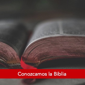 Conozcamos la biblia