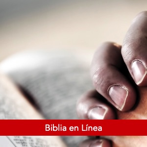 La biblia en linea