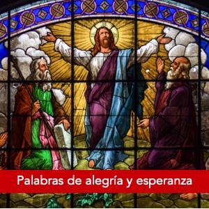 Palabras de alegría y esperanza